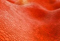 3D rendering of abstract organic surface with flowing red cellular texture Royalty Free Stock Photo