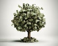 This is a high-resolution 3d render of a rooted tree with a thick stock that is growing currency for it's leaves