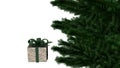 Christmas present box with pine tree Royalty Free Stock Photo