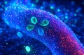 3D Chromatin Fiber with Bioluminescent Nucleosomes in Blue