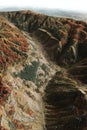 High-resolution GIS aerial visualization of a forest with elevation contours canopy height and terrain slopes in 3D.