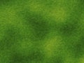 High resolution green grass texture