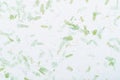 The High resolution handmade recycled leaf paper background Royalty Free Stock Photo