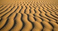 Minimal Desert Sand Texture with Soft Natural Light Royalty Free Stock Photo