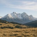 Golden Meadow with Evergreen Trees and Snow-Capped Mountain Range Under Clear Sky Royalty Free Stock Photo