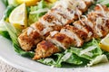 Lemon and Parmesan Crusted Chicken Salad for Healthy Lifestyle and Diet Menus