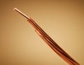Neatly Coiled Copper Wire on Warm Background Royalty Free Stock Photo