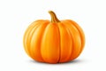 Vibrant Orange Pumpkin: The Embodiment of Autumn in One Isolated Click