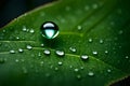 A high-resolution image of a single, glistening water droplet on a textured leaf, the lighting highlighting the refractive