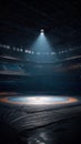 A stunning image of Spotlit Wrestling Mat in an Empty Arena. Royalty Free Stock Photo