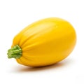 A high-resolution, isolated photo of fresh yellow squash Royalty Free Stock Photo