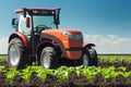 tractor spraying pesticides on a field with young tobacco plants. Agriculture.