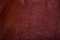 High resolution leather Royalty Free Stock Photo
