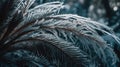 High-resolution Macro Shot Of Frost Crystals On Delicate Palm Tree