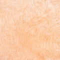 High resolution natural woodgrain texture