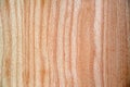 High resolution new wooden texture