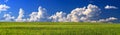 High-resolution panorama for printing photo wallpapers, banners, summer landscape, green field Royalty Free Stock Photo