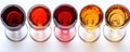 Top view of five wine glasses with different types of wine Royalty Free Stock Photo