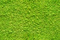 Seamless Close Up Green Moss Texture