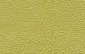 Seamless green leather texture