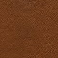 Seamless leather texture Royalty Free Stock Photo