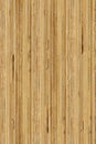 Seamless texture of plywood side section Royalty Free Stock Photo