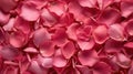 Seamless Red Rose Petals Texture Royalty Free Stock Photo