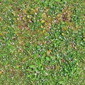 High resolution seemless texture of green grass and plants for 3d modelling with more than 6 megapixel in size Royalty Free Stock Photo