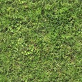 High resolution seemless texture of green grass and plants for 3d modelling with more than 6 megapixel in size Royalty Free Stock Photo