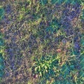 High resolution seemless texture of green grass and plants for 3d modelling with more than 6 megapixel in size Royalty Free Stock Photo