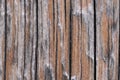 High resolution wooden texture wooden grey brown black white lines branch