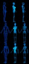 9 high resolution x-ray renders in 1 image, woman body with skeleton and organs - physiology colored research concept - creative