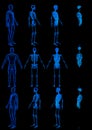 12 high resolution xray renders in 1 image, man body with skeleton and organs - anatomy colored examination concept - digital