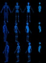 12 high resolution xray renders in 1 image, man body with skeleton and organs - anatomy colored research concept - cg medical 3D