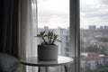 high-rise apartment with view of the city, and a houseplant in concrete flowerpot on windowsill