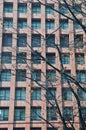 High-rise brown brick tall corporate business office building with dried leave tree in front of the building Royalty Free Stock Photo