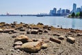 High Rise Buildings in Downtown Vancouver, Canada Royalty Free Stock Photo