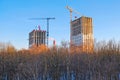 High-rise buildings under construction in the forest Royalty Free Stock Photo