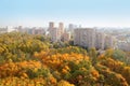 High-rise buildings and yellow trees in park