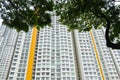 High-rise residential  flat white apartments with some windows open with rain trees forest Royalty Free Stock Photo