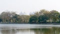 High-rise residential project building apartments and commercial condos stands tall framing by tree on lake point of view. Royalty Free Stock Photo