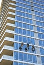 High-rise window washers clean windows as climbers descending and climbing on fixed ropes Royalty Free Stock Photo