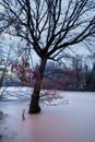 High river waters