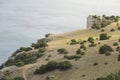 High rocky seashore with growing conifers and shrubs