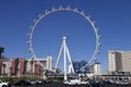The High Roller Ferris Wheel in Las Vegas , Nevada Royalty Free Stock Photo