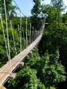 A high rope bridge over the forest floor at Refreshing Mountain Camp