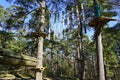 High rope bridge in a pine forest, part of a ropes course Royalty Free Stock Photo