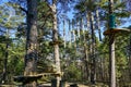 High rope bridge in a pine forest, part of a ropes course Royalty Free Stock Photo