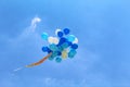 high school birthday balloon release Royalty Free Stock Photo