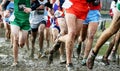 High school boys racing cross country in the mud Royalty Free Stock Photo